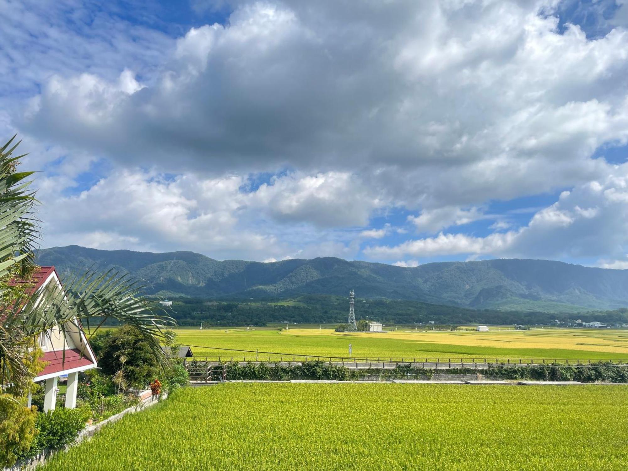 Holiday Homestay Chishang Exterior foto